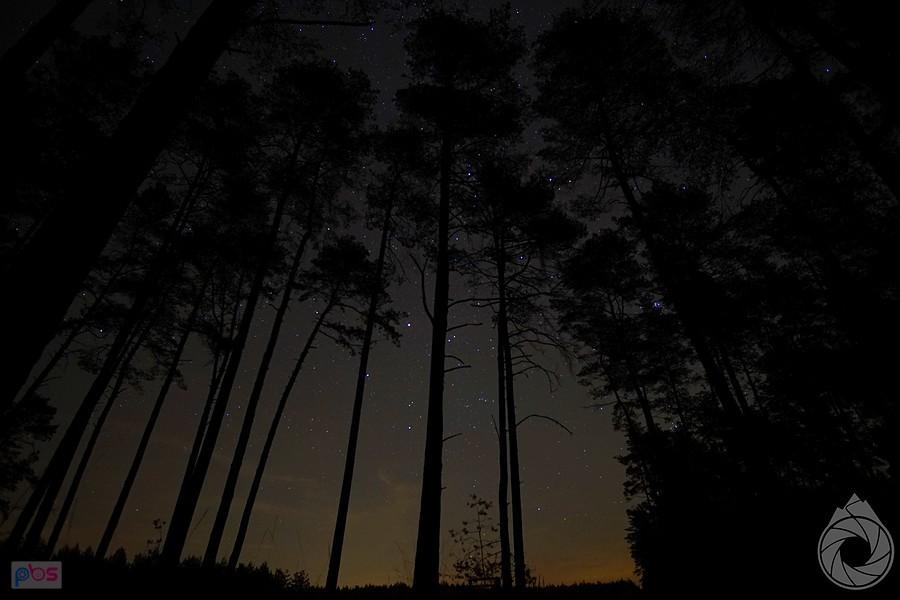 gdzieś nocą, gdzieś w lasach lublinieckich