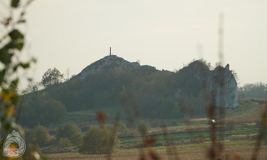 Skała 502 z trasy jerzmanowickiej