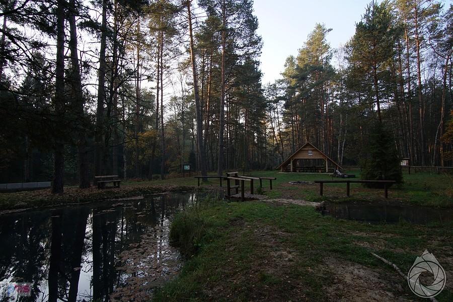 krywałdzkie miejsce odpoczynku i pojenia przy źródle