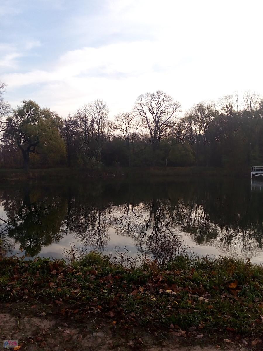 Staw w Ołtarzewie