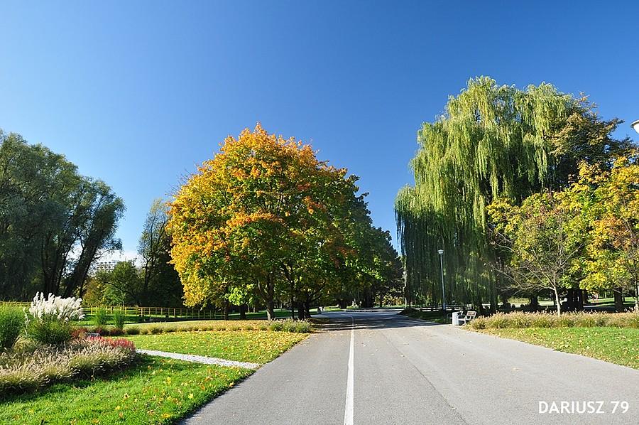 Bulwary nad Wislokiem w Rzeszowie