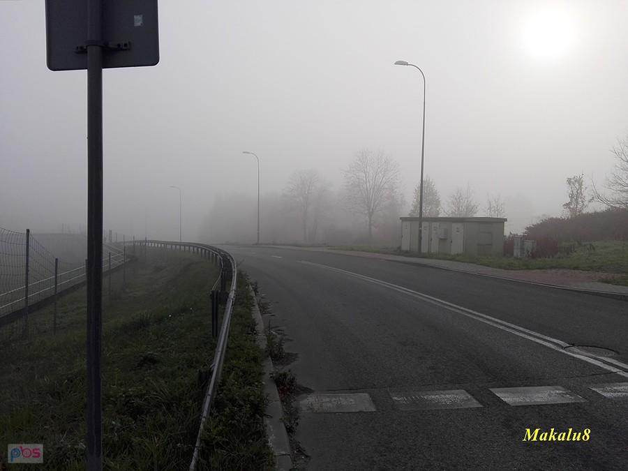 Poranne mgły w Szarleju