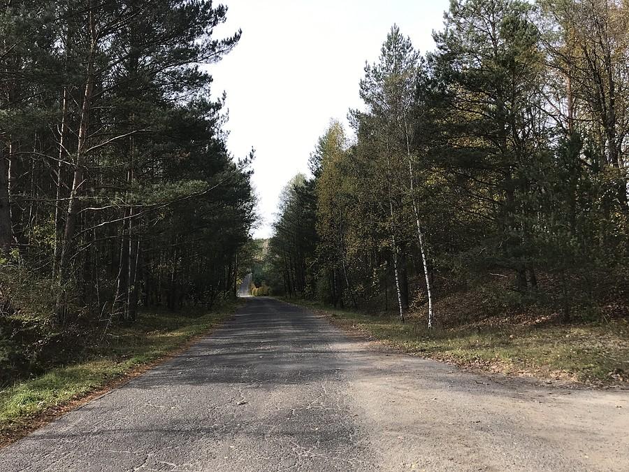 Trasa Dobrzyca - Stara Łubianka