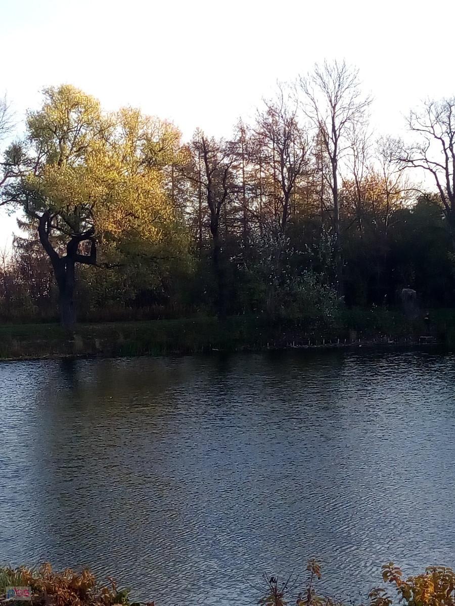 Pierwszy staw