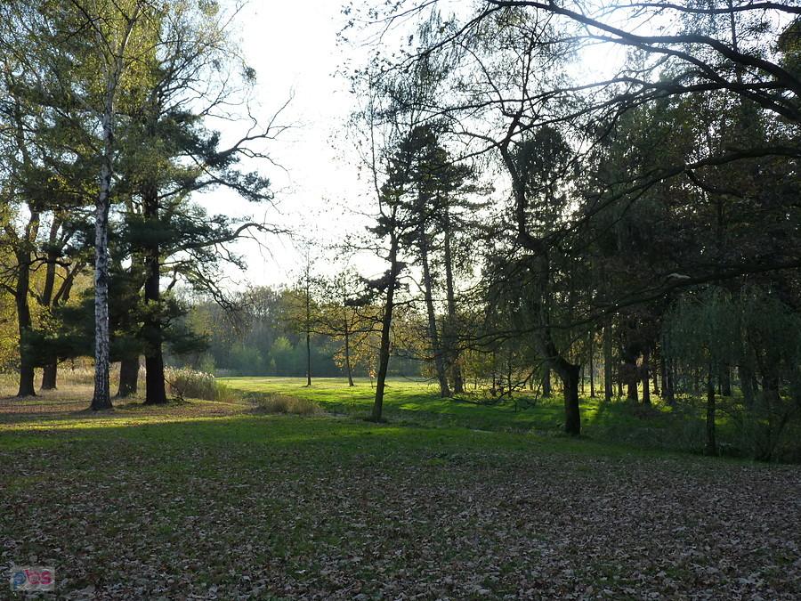 park