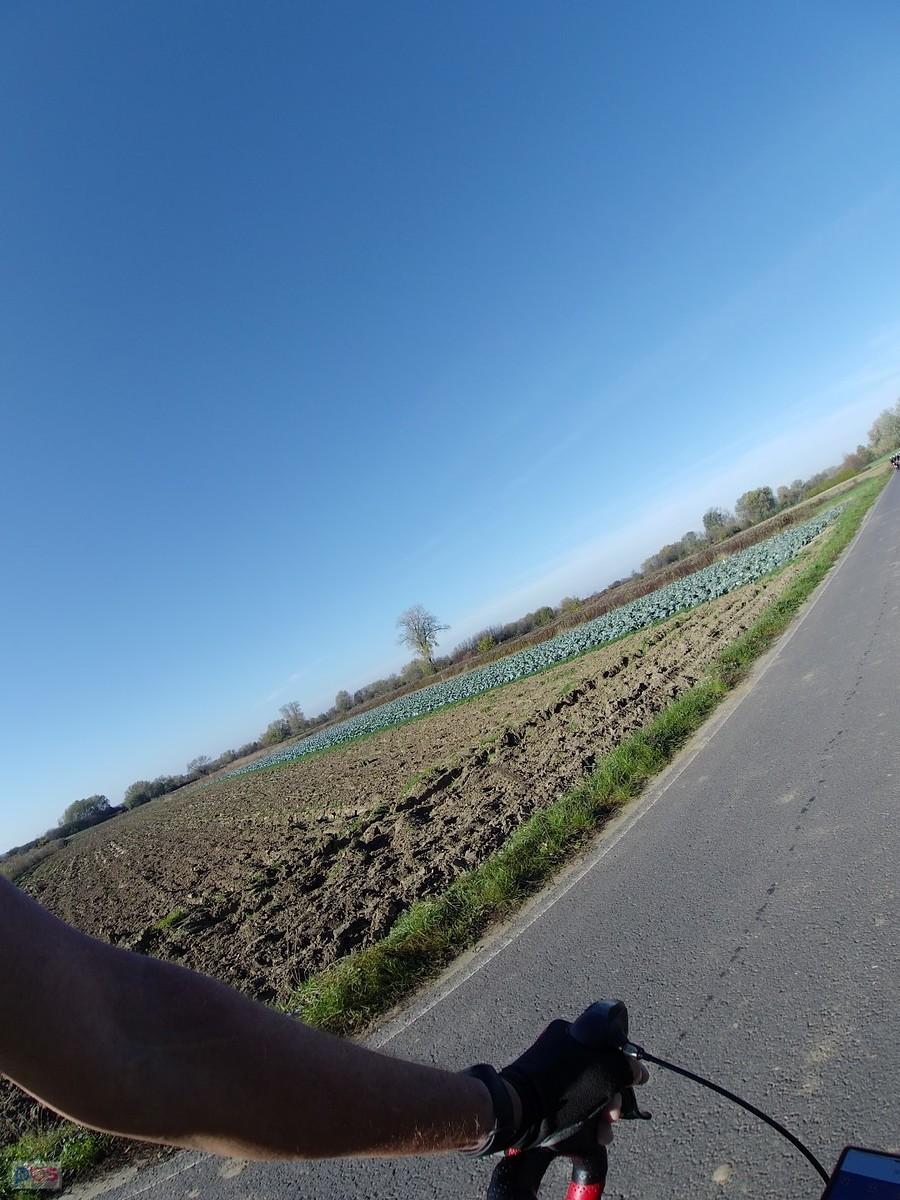 Ręka..., pola..., niebo...