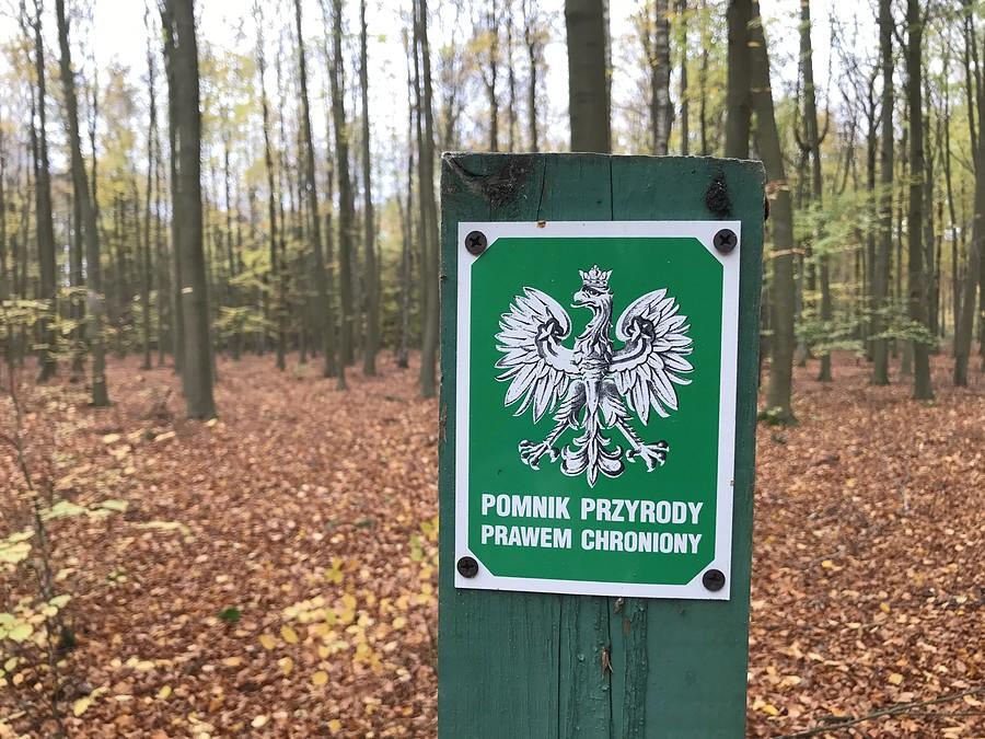 Pomnik Przyrody