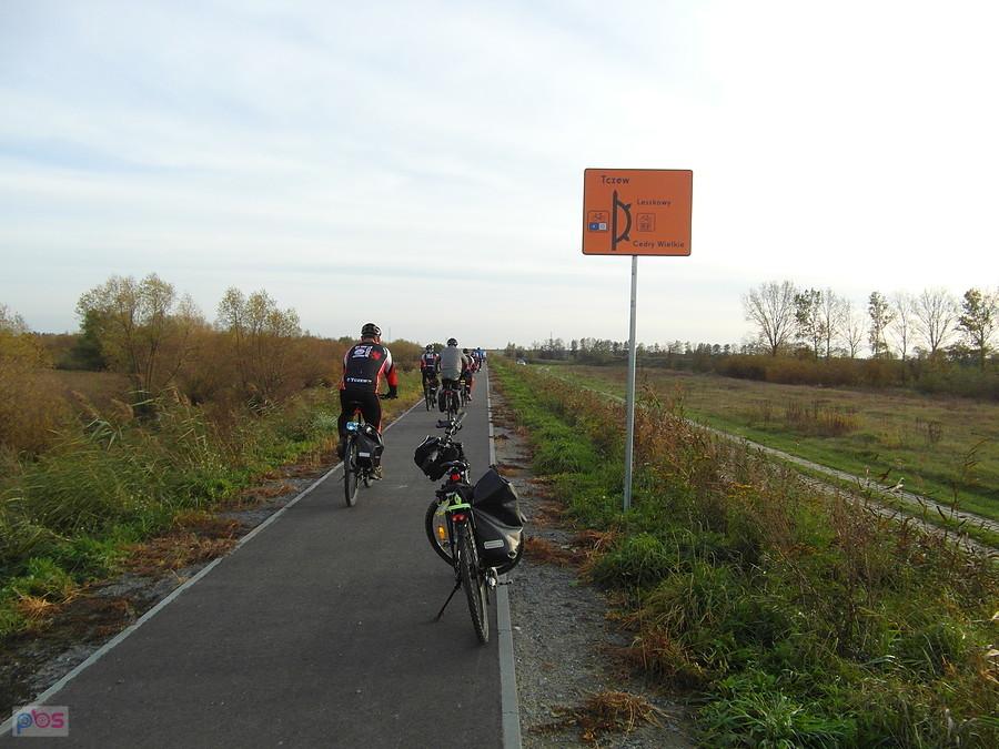 Ścieżka rowerowa z grupą rowerzystów