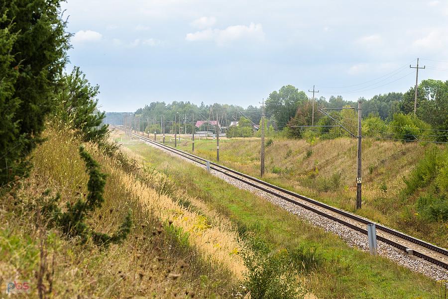 Linia kolejowa D29-64 w Woli Kuczkowskiej