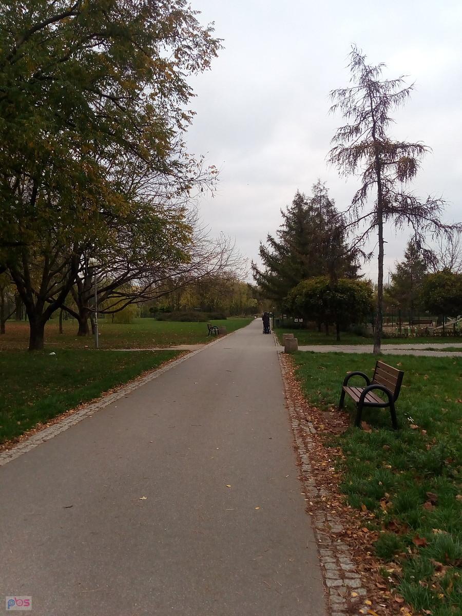 Wyasfaltowana alejka w parku przy Czumy