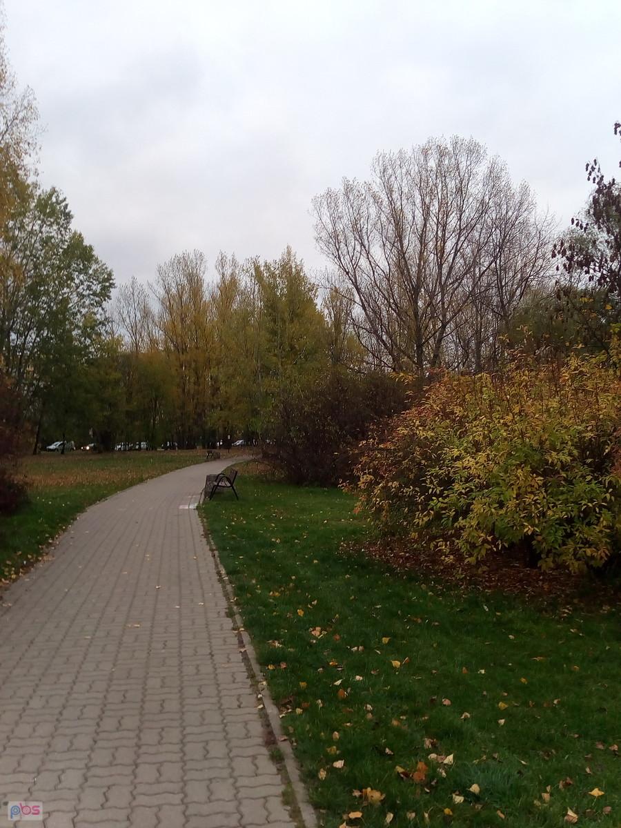 Jesień w parku