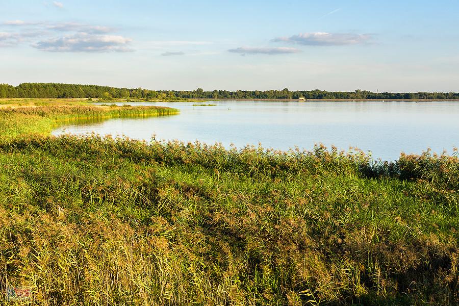 Wschodni brzeg zbiornika w Poraju