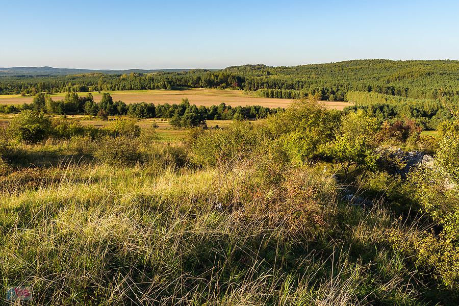 Przybynów - widok ze skałek w kierunku północnym