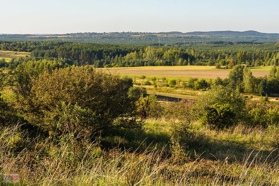 Widok ze skałek w Przybynowie w kierunku Biskupic