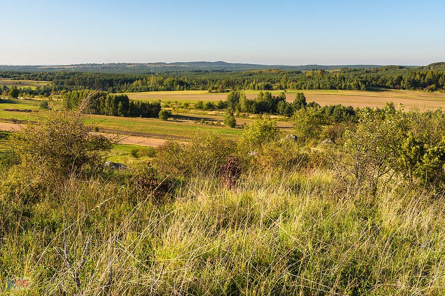 Widok ze skałek w Przybynowie w kierunku Biskupic