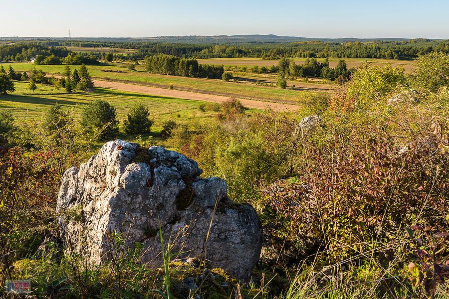 Wapienna skała i widok w kierunku Biskupic - skałki w Przybynowie