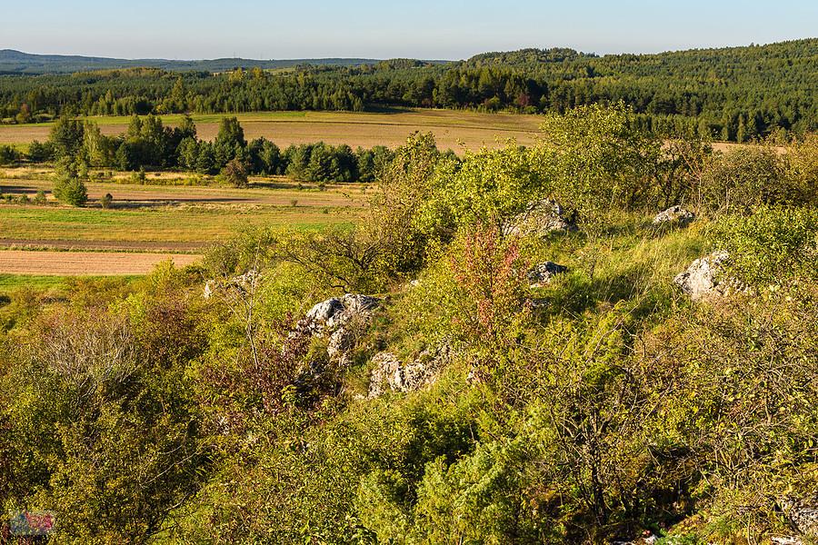 Widok w kierunku północnym - skałki w Przybynowie