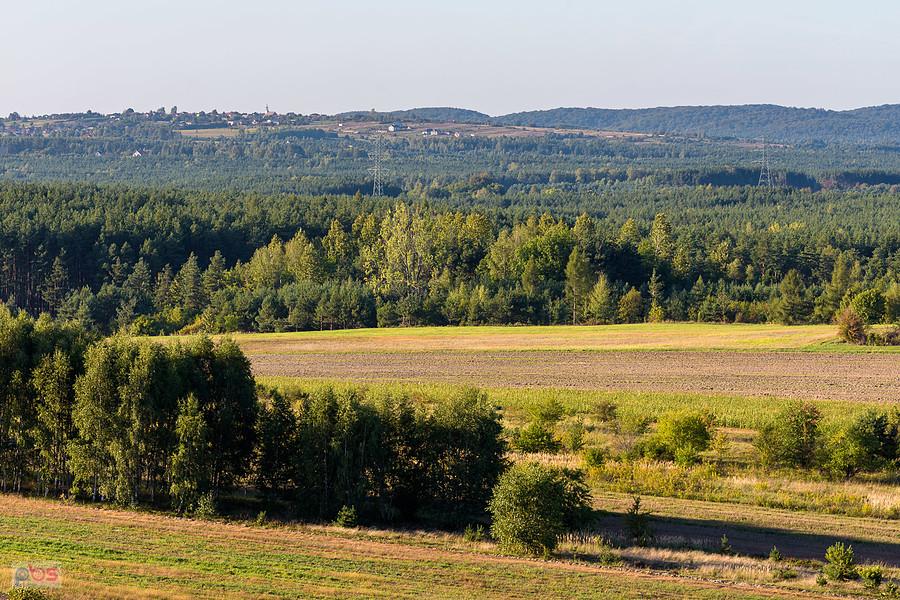 Widok w kierunku Biskupic - skałki w Przybynowie