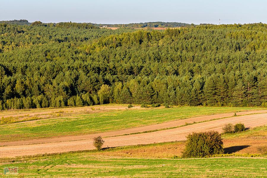 Ostatnie spojrzenie w kierunku Suliszowic - Przybynów