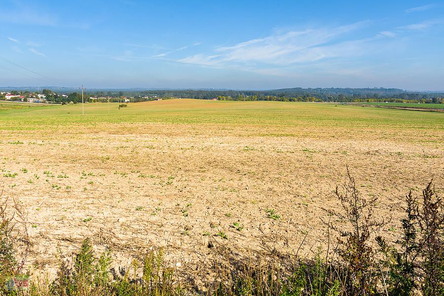 Myszków - Sikorka - widoki obok DW 791