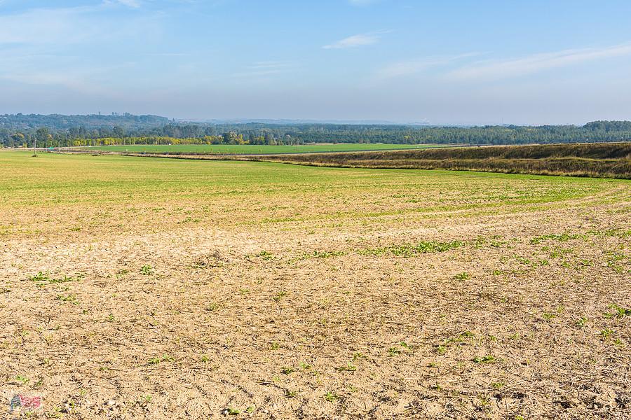Myszków - Sikorka - widoki obok DW 791