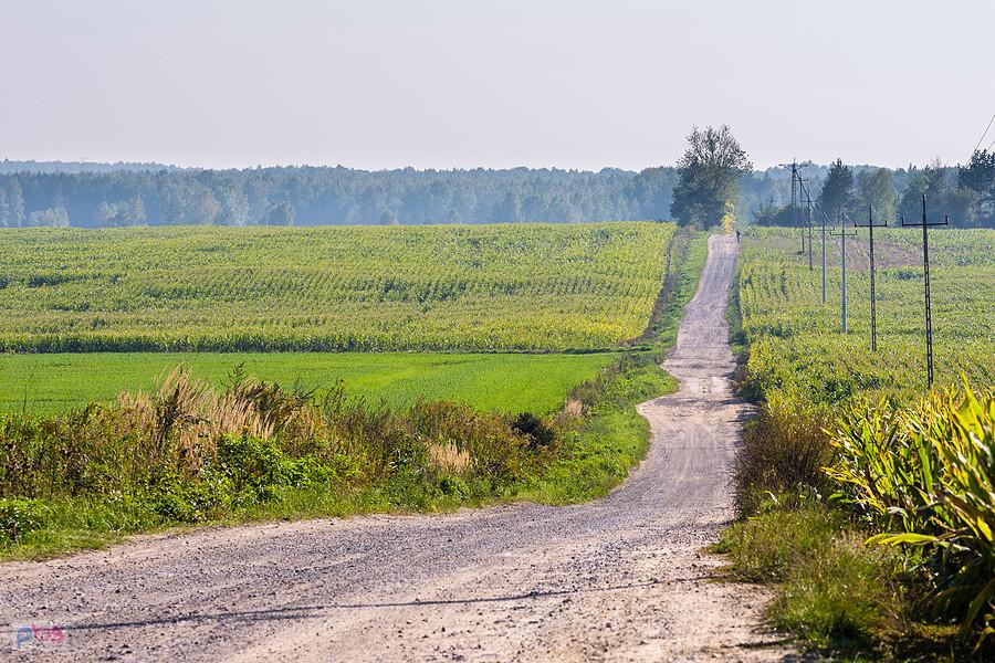 Myszków - Sikorka - widoki obok DW 791