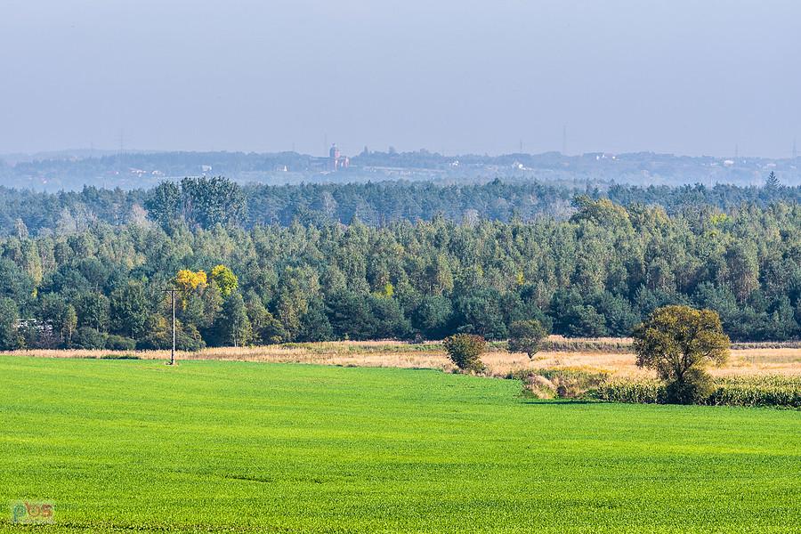Myszków - Sikorka - widoki obok DW 791 - w tle widoczna parafia pw. Miłosierdzia Bożego w Zawierciu
