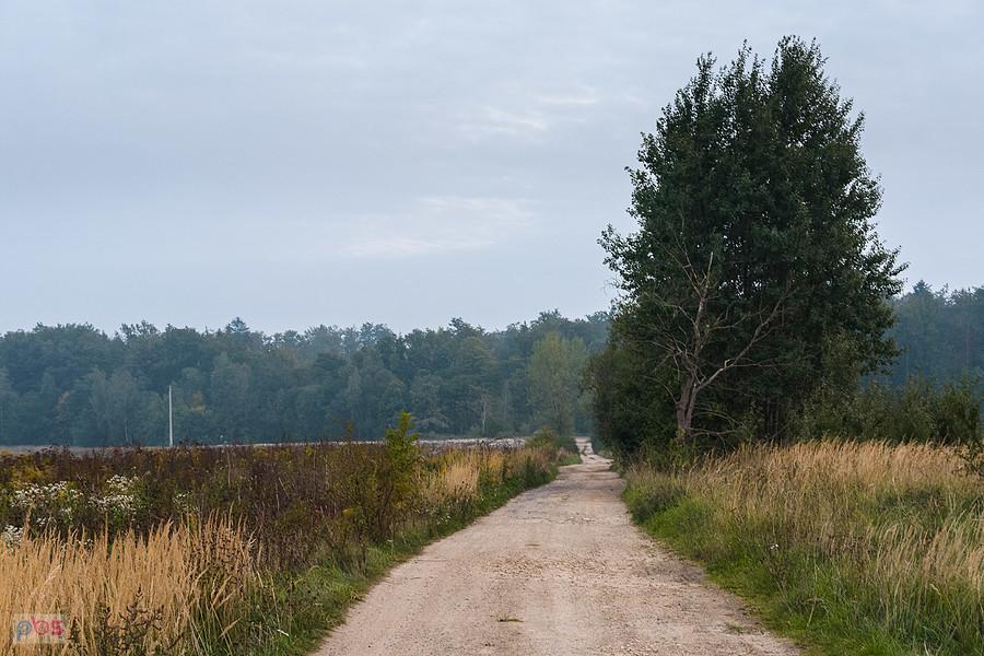 Droga w Trzebyczce koło Łaz