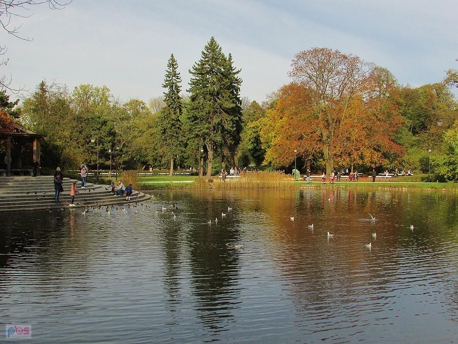 Staw w Parku Ujazdowskim