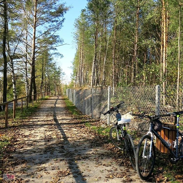 Z Inowłodza w stronę Spały