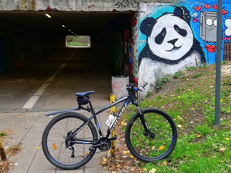 Panda tunelowa, Ogrody, Poznań