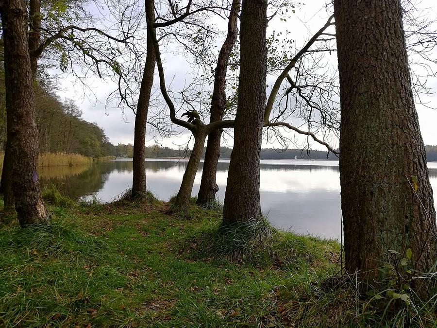 Drzewiej tu wciąż bywa, Poznań Strzeszyn