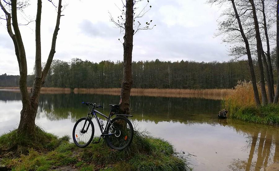 Zerknięcie pierwsze, Poznań Strzeszyn