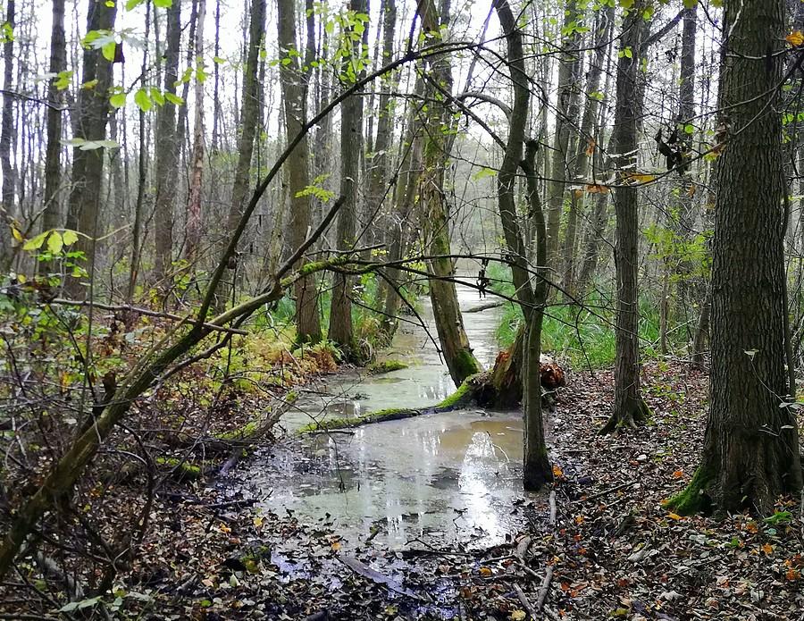 Uroczysko, trasa za poznańskim Strzeszynem