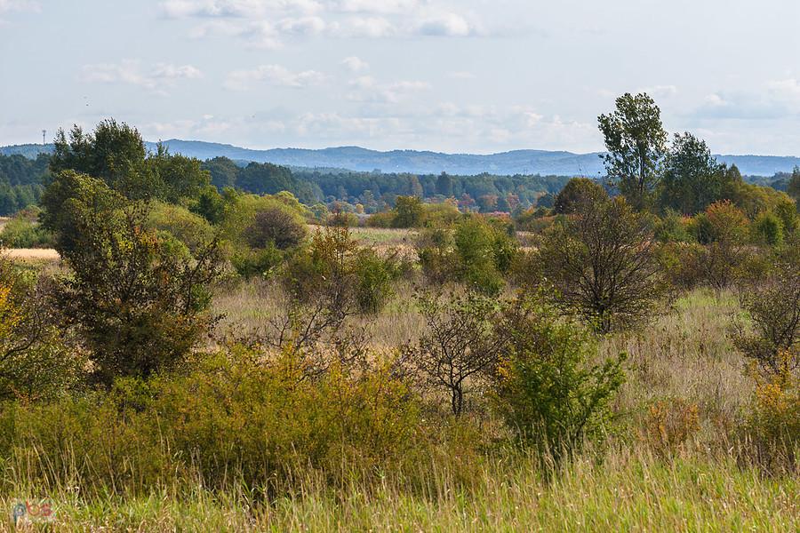 Wzniesienia w oddali ładnie rysują się na horyzoncie - Dąbrowa Górnicza - widok w kierunku Niegowonic z czarnego szlaku rowerowego Okradzionów - Sikorka
