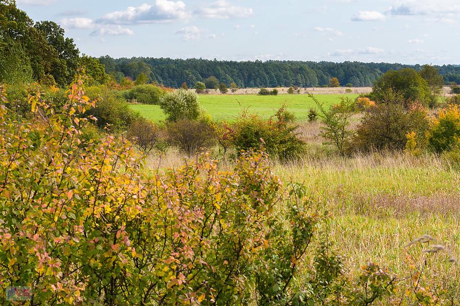 Dąbrowa Górnicza - widok w kierunku Niegowonic z czarnego szlaku rowerowego Okradzionów - Sikorka