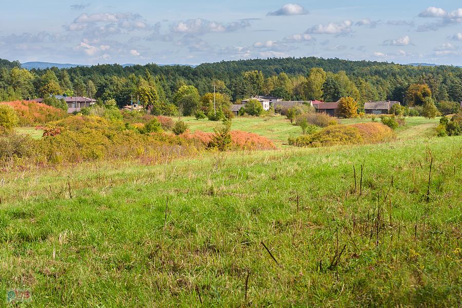 Dąbrowa Górnicza - Okradzionów
