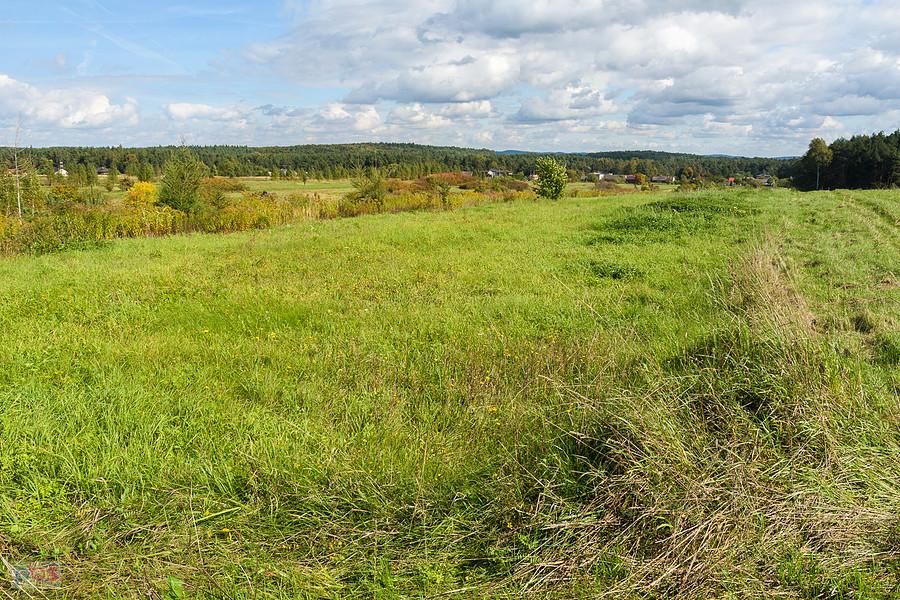 Dąbrowa Górnicza - Okradzionów - polana w pole w pobliżu torów kolejowych