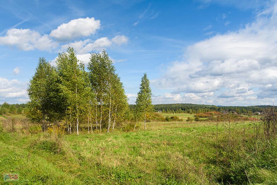 Obok torów linii kolejowej biegnącej z Łaz do Dąbrowy Górniczej Towarowej - Dąbrowa Górnicza - Okradzionów