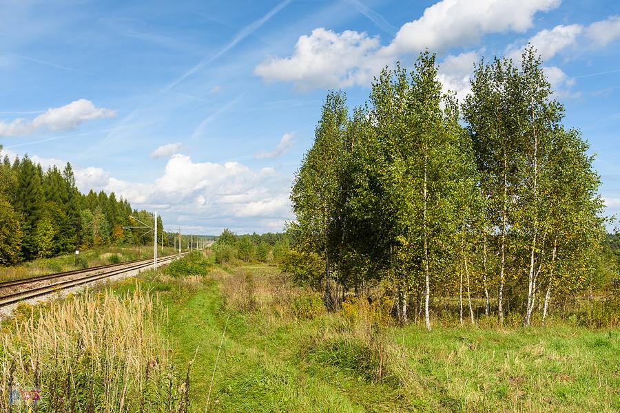 Dąbrowa Górnicza - Okradzionów i linia D29-154 szlak: podg. Przemiarki - Dąbrowa Górnicza Towarowa