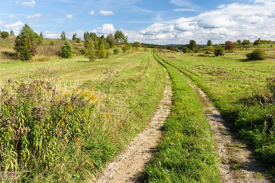 Droga w pobliżu torów kolejowych w Dąbrowie Górniczej, dzielnicy Okradzionów