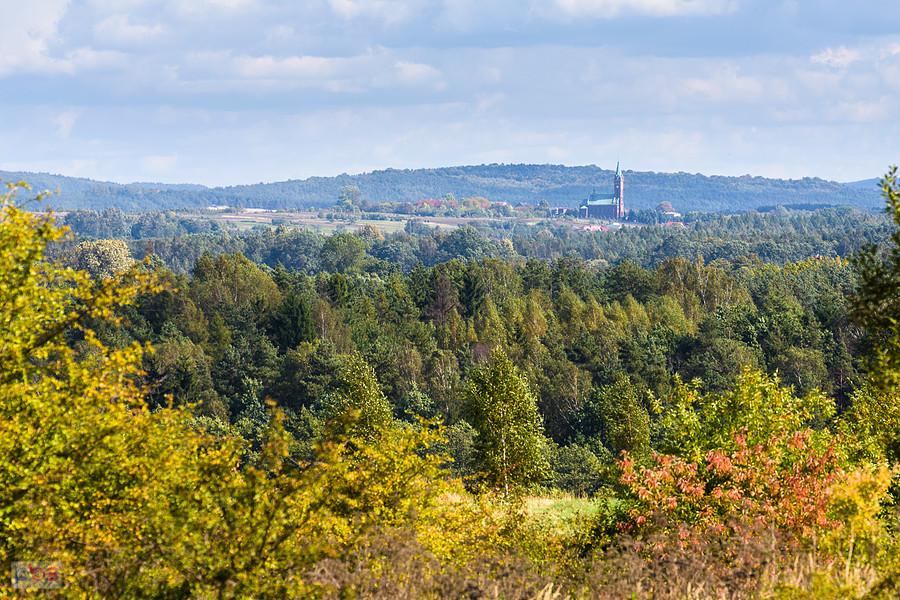 Widok z Dąbrowy Górniczej Okradzionów na kościół pw. Trójcy Przenajświętszej w D.G. Błędów