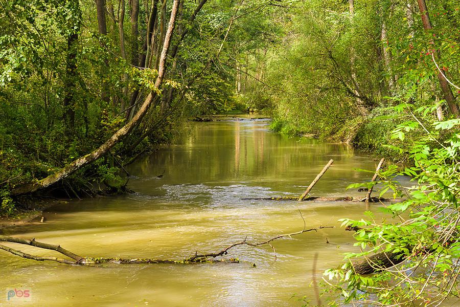 Rzeka Biała Przemsza - Kuźniczka Nowa, Dąbrowa Górnicza