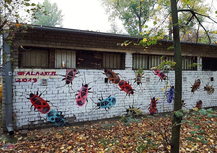 Garażowe wariacje nt. kowala bezskrzydłego