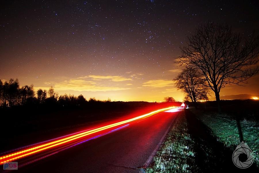 nocna ucieczka przed niedźwiedziami