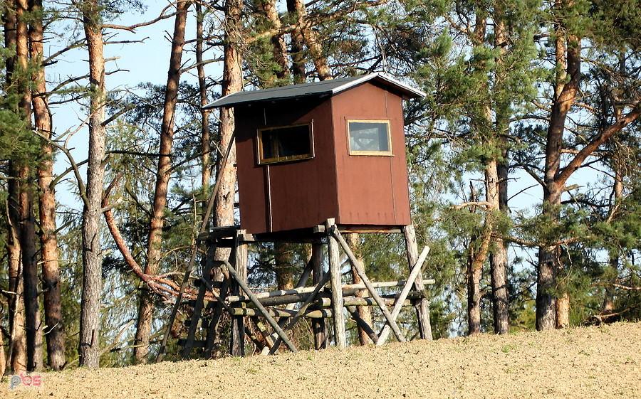 Myśliwska ambona pod Pampow.