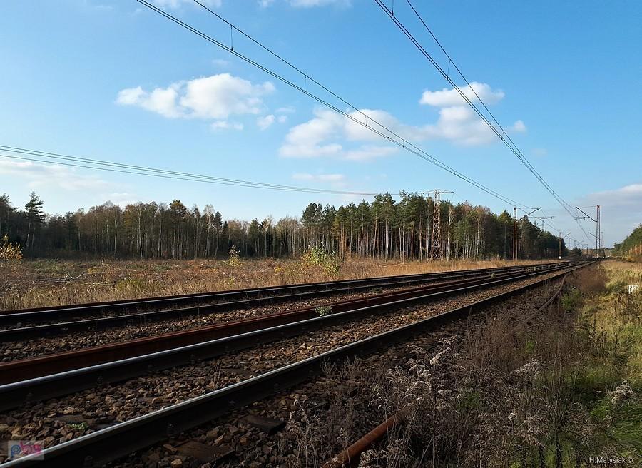 "Wiedenka" pomiędzy Żarkami Letniskiem a Masłońskim i efekty wycinki drzew