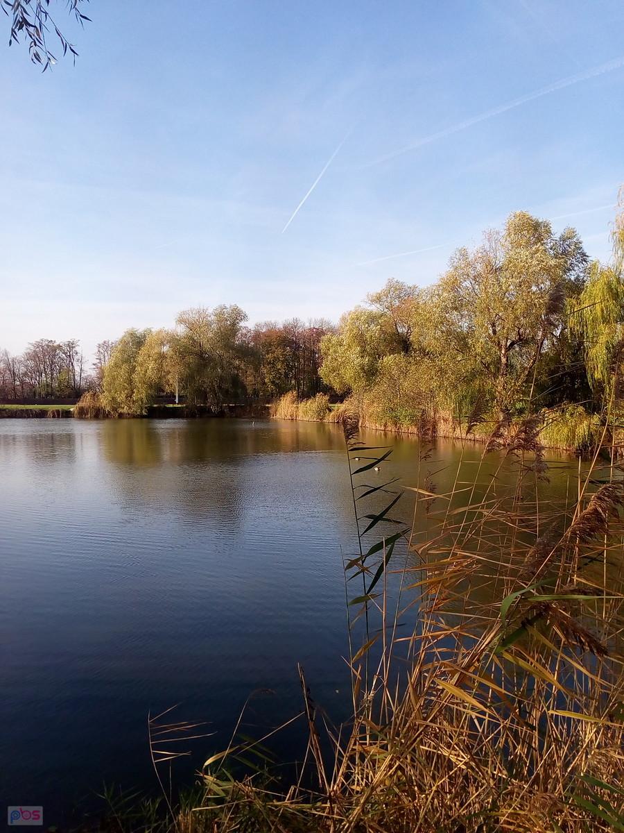 Staw w Zielonkach