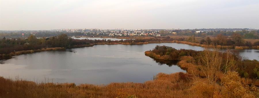 Kierunek północ, Szachty, Poznań