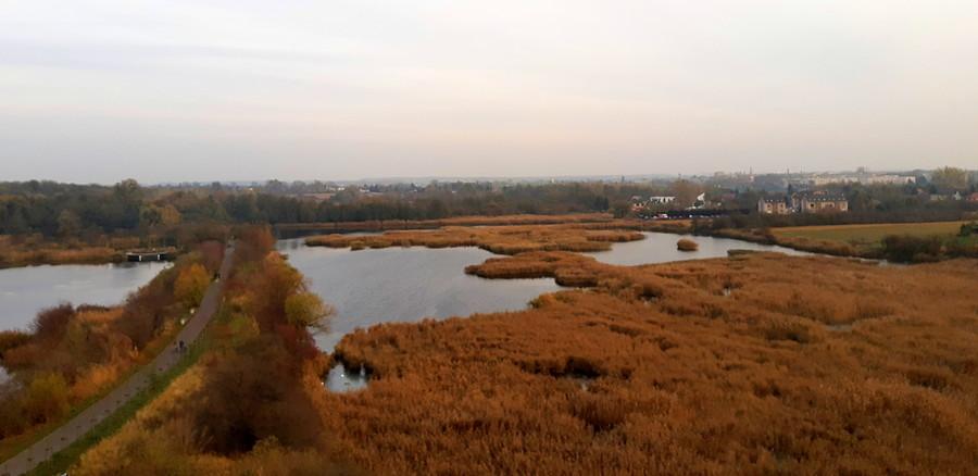 Mniej cywilizowanie, Szachty, Poznań